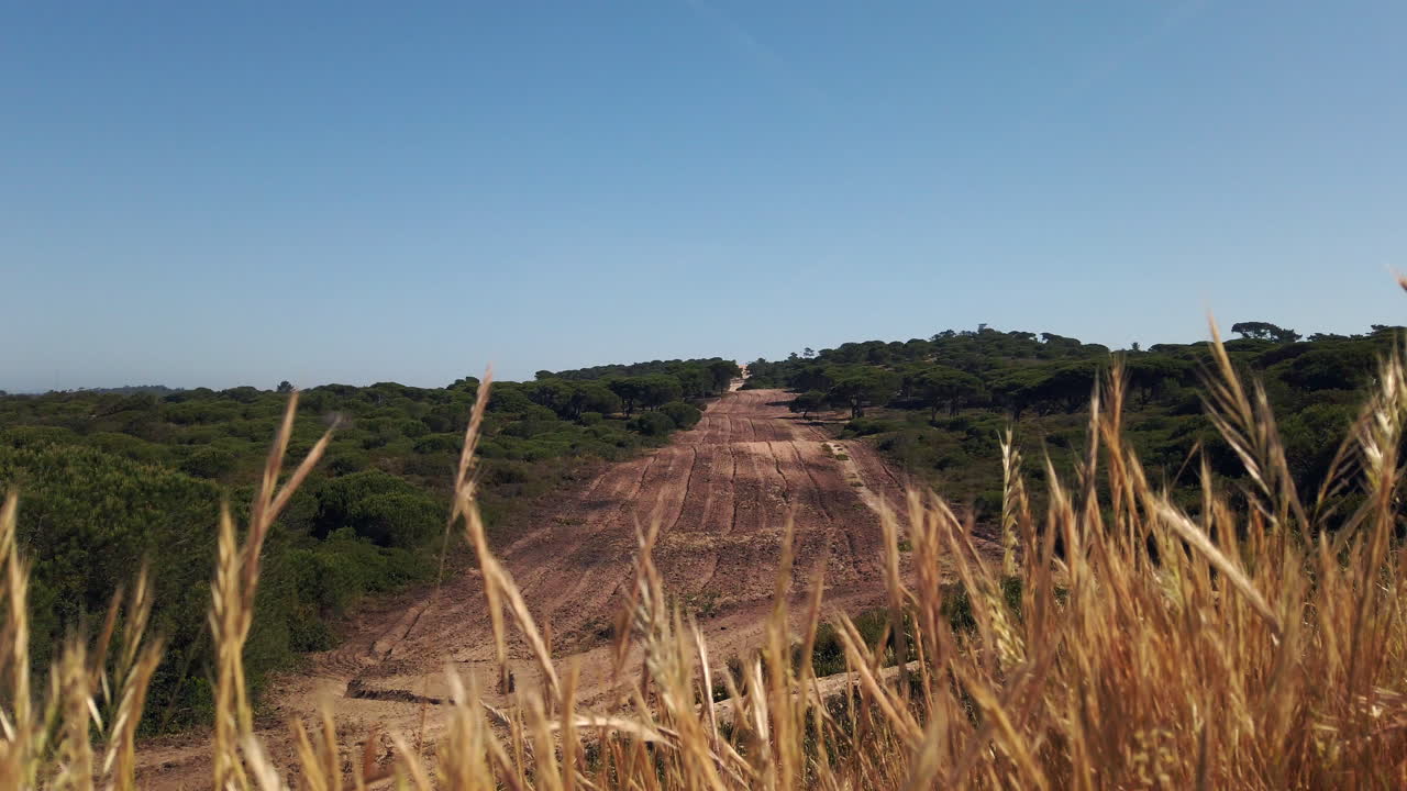 Frangifuoco su scogliera costiera. Riprese in Portogallo