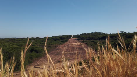 firebreaks on beach cliff. shot at portugal