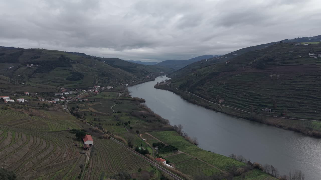 Vigneti terrazzati nella valle del Douro lungo il fiume Douro sotto un cielo nuvoloso, ripresa aerea