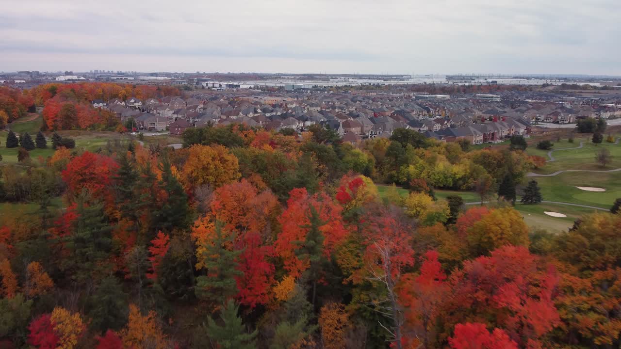 empuje en vista aérea de bosques y árboles en un día de otoño, nublado y malhumorado