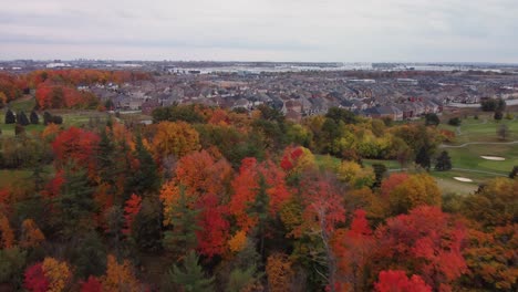 Push-in-aerial-view-of-woods-and-trees-in-a-fall,-cloudy,-moody-day