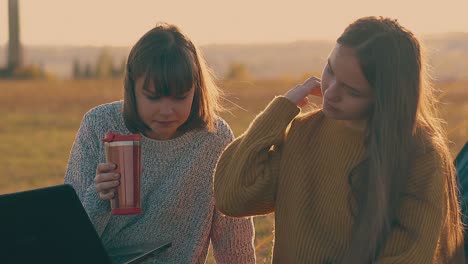 young women work on laptop in camp on meadow slow motion