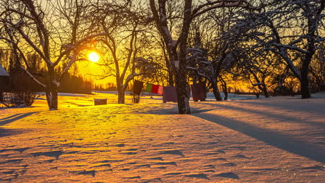 Wir-Hängen-Bei-Sonnenuntergang-An-Einer-Leine,-Während-Die-Schatten-Der-Sonne-Durch-Die-Bäume-Strömen,-Die-Sich-über-Den-Schnee-Bewegen---Zeitraffer