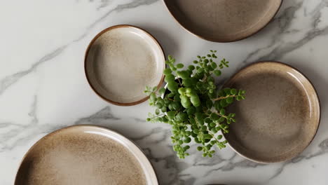 overhead view of dinner plates and potted plant on marble table
