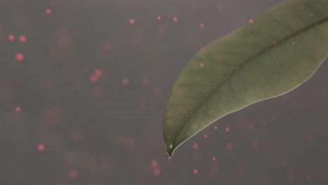 animación de confeti rojo blanco y azul cayendo sobre un fondo oscuro