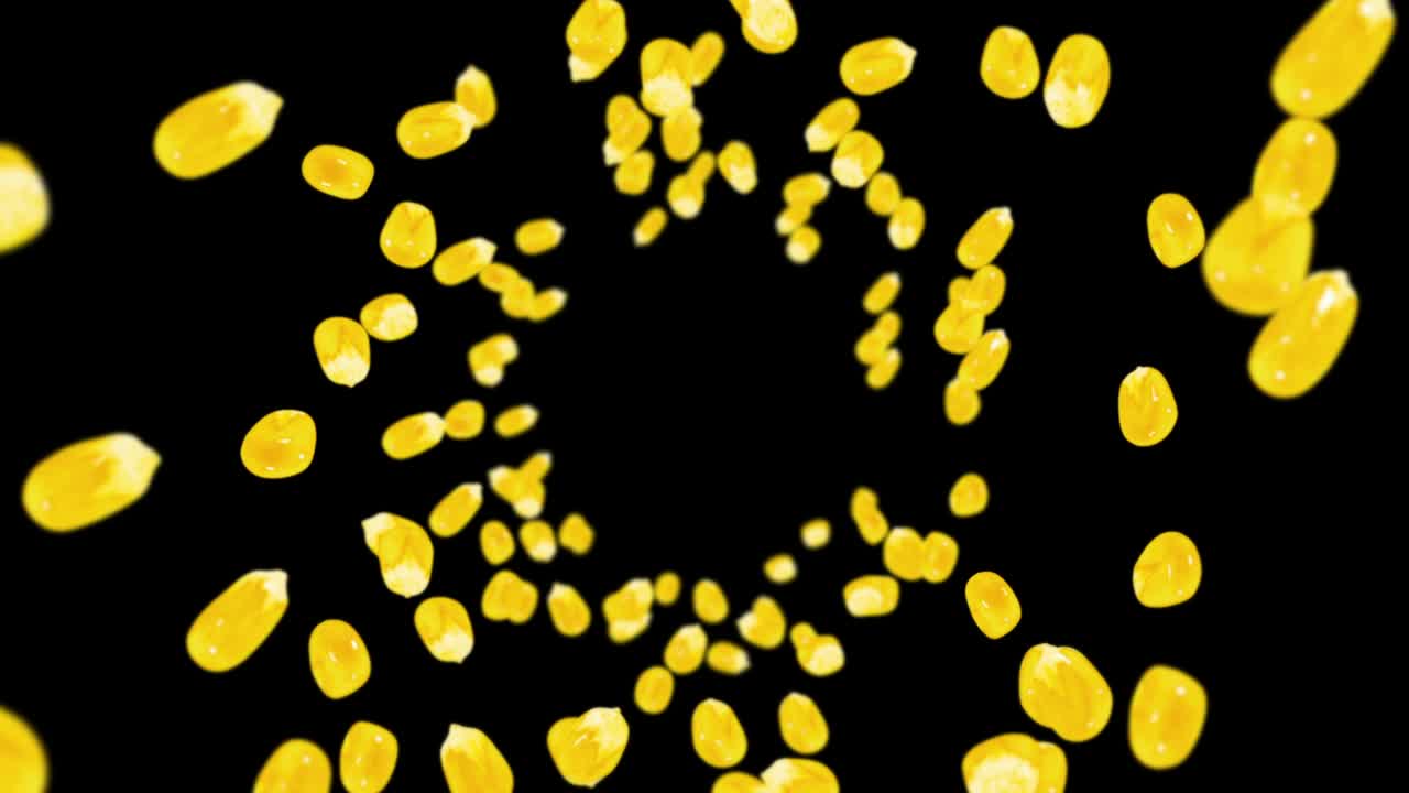 黒い背景に多くのトウモロコシの粒を飛ばす黄色い甘いトウモローコシの種ベジタリアン健康的な食べ物トウモラコシの回転の3dループアニメーション
