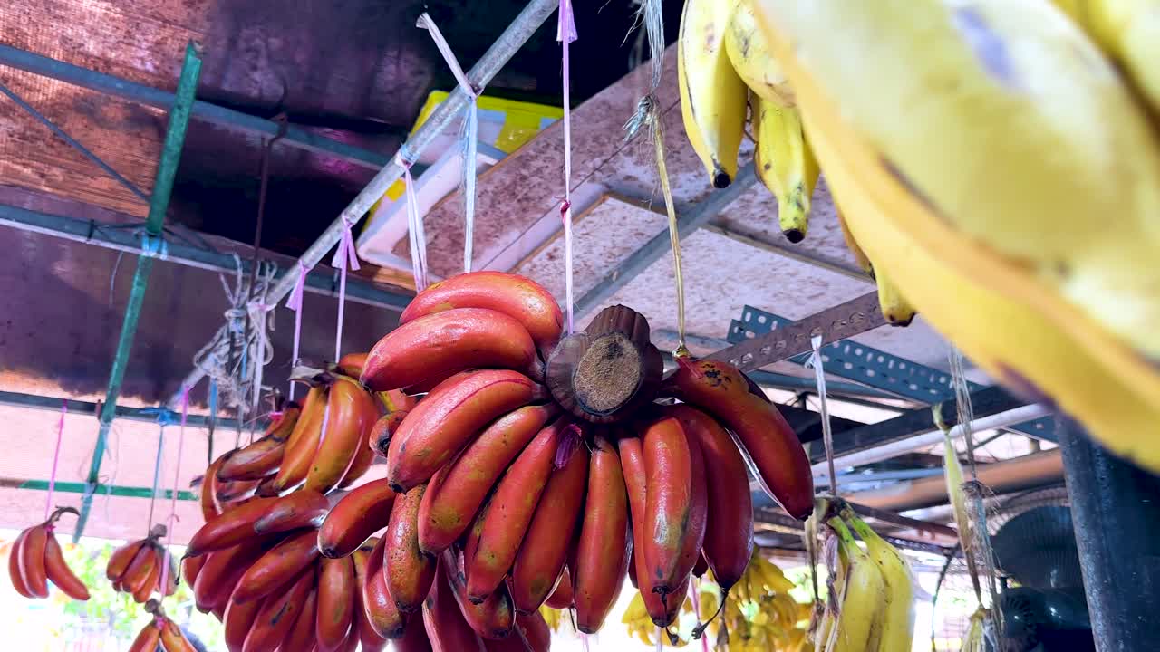 Bunches of yellow and red bananas hang from metal racks in an open-air market, with natural daylight and a slow camera pan revealing the vibrant produce
