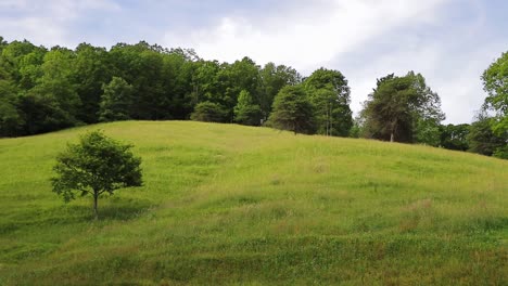 grassy green hillside with trees and clouds cinematic dolly shot