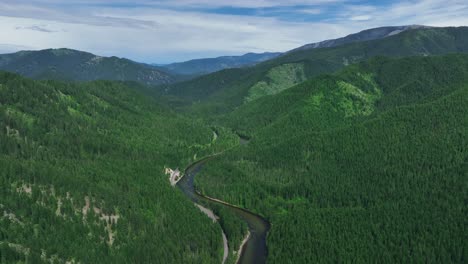 Pine-Forest-On-Lush-Green-Valley-Of-Lolo