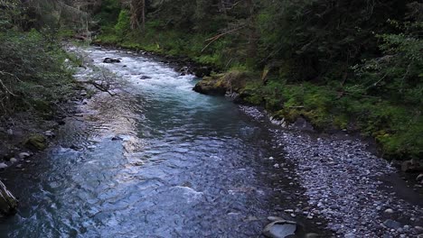 scenic stationary shot over flowing river in evergreen forest in carbonado, washington state