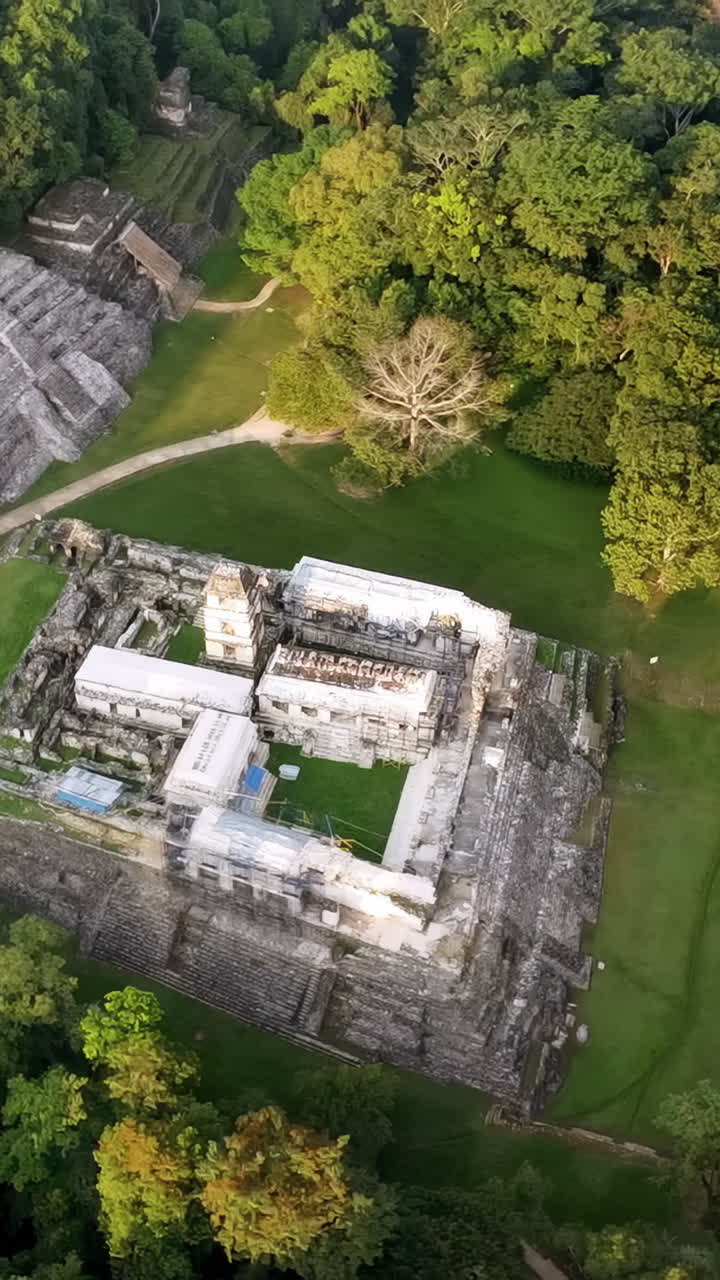 Vista aerea con drone delle rovine Maya di Palenque con antiche piramidi e templi circondati dalla giungla tropicale nel Messico meridionale. Verticale.
