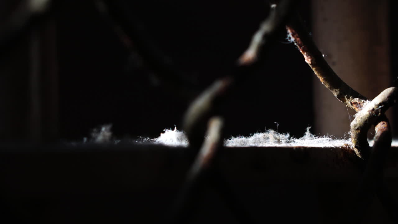 알카트라즈 교도소의 세부 사항, 금속 울타리의 거미줄과 먼지, 근접