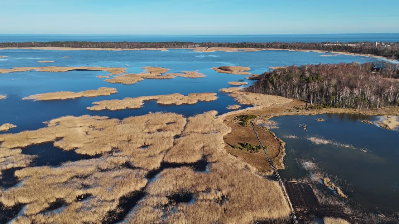 sendero de tablas de madera a través del lago kaniera cañas disparo aéreo de primavera lapmezciems, letonia