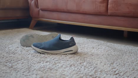 dark blue sneakers on a beige carpet in a living room