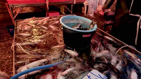 recogiendo pescado a mano de un puesto en el mercado de mariscos.