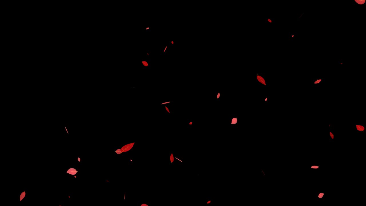 죽은 잎, 빨간 잎, 가을 잎, 어나오는 입자, 모션 그래픽