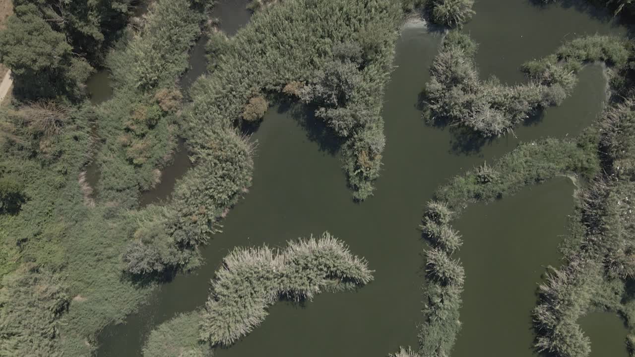 습지에서 본 절경