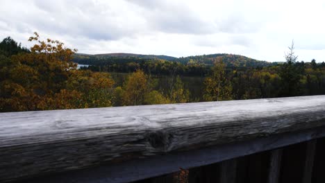 typical canadian fall landscape with coloful fall forest trees and lake during autumn, algonquin park, canada