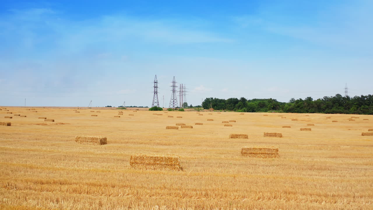 Beautiful yellow field of cut wheat with hay bales. Dry plantation at the backdrop of electric supports and green forest.