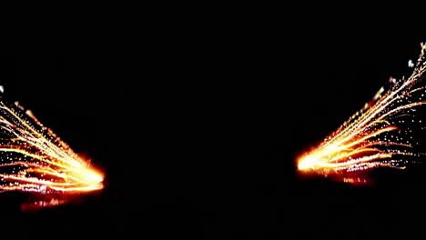 fiery phoenix