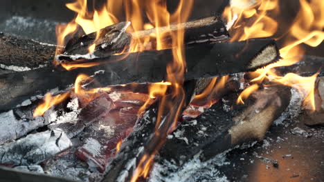 madera seca arde en el fuego - cámara lenta