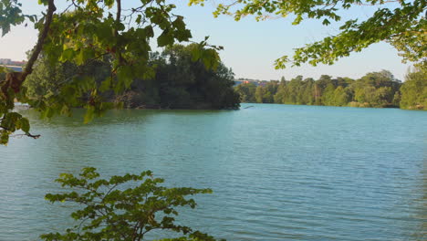 pan shot of amazing nature frame in pond lyon park, france.