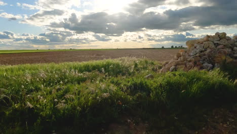 European-Road-Trip-through-Spain-Countryside-Field