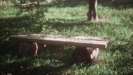 wooden park bench in a sunny garden