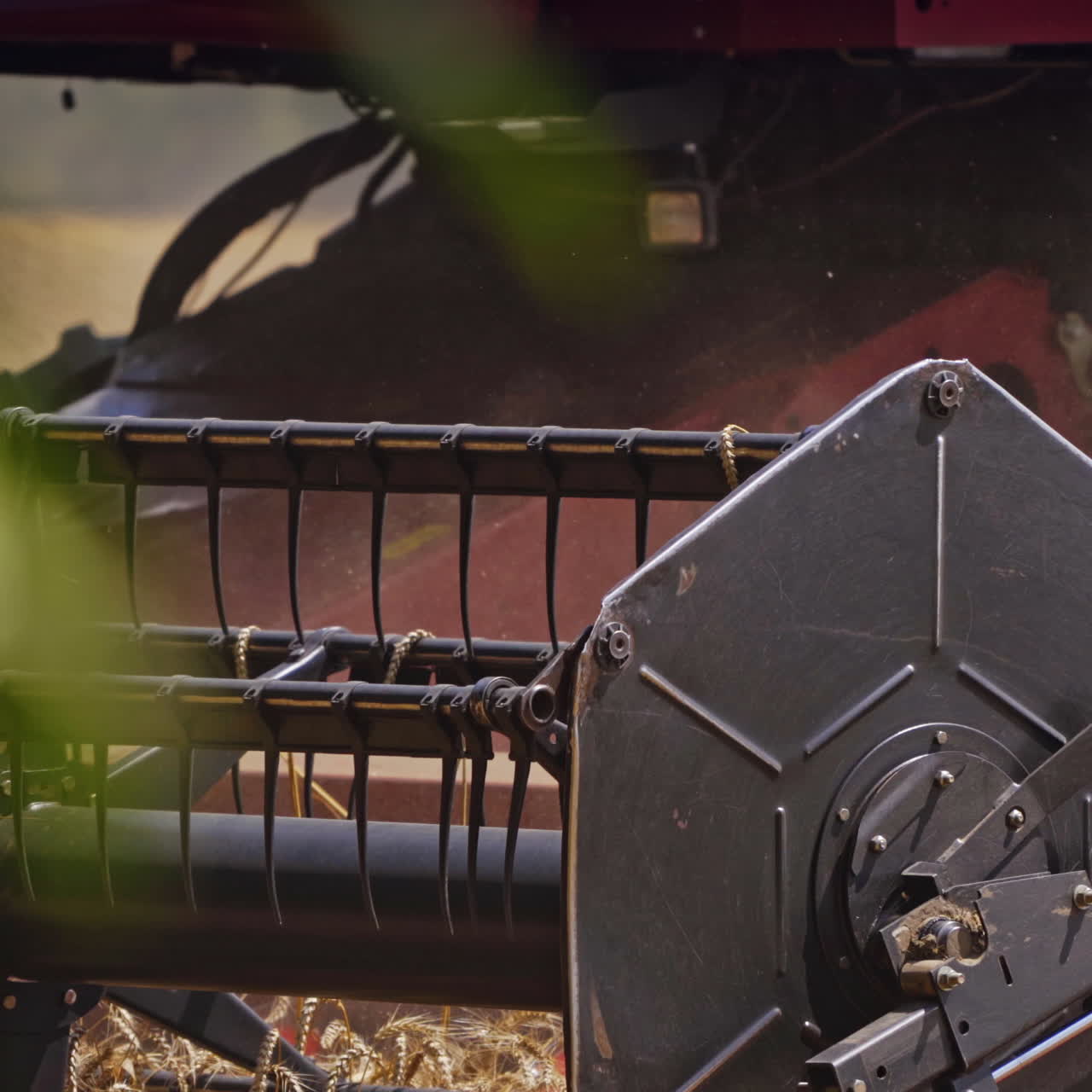 Close-up modern combine machine moving in dust. Detail of combine equipment cutting wheat blades on the field in the countryside. Concept of harvesting.