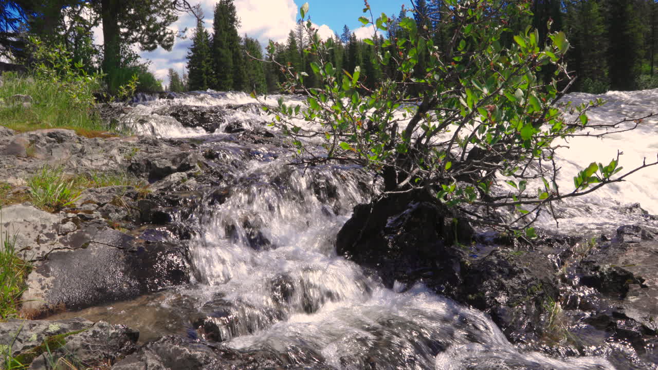 Cascading Stream Flowing in Beautiful Nature Scene in Montana - Static