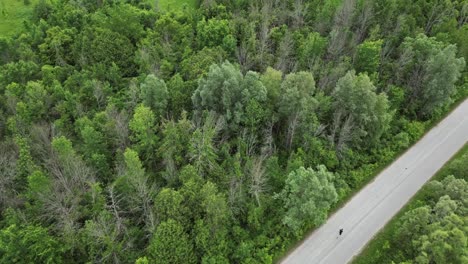 Mann-Läuft-Auf-Einer-Straße-Durch-Den-Wald---Drohnenaufnahme-Aus-Der-Luft