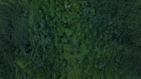 Hoch-Aufragende-Berge-Gipfel-Dschungel-Tal-Große-Höhe-Teahupoo-Tahiti-Vogelperspektive-Luftdrohne-Französisch-Polynesien-Südpazifik-Insel-Vulkane-Küste-Morgen-Sonnenaufgang-WSL-Surfen-Olympia-Austragungsort-Vorwärts