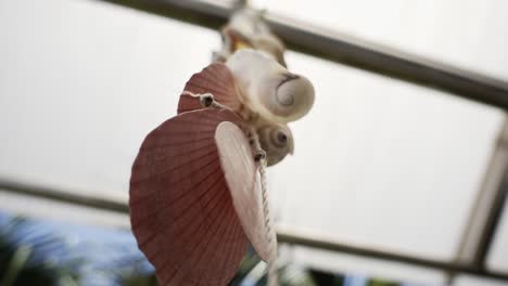 tropical clam shell chain hanging from roof, undisclosed closeup