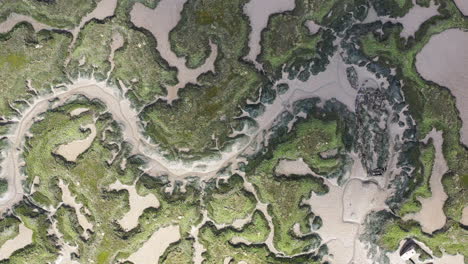 top down aerial footage of a salt marsh estuary at low tide in the shape of a dragon, slowly scrolling from right to lef