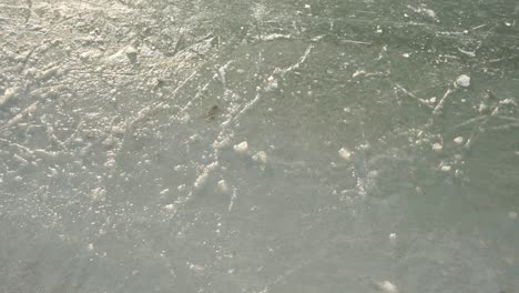 Closeup-view-of-frozen-pond-in-the-winter-of-Amsterdam