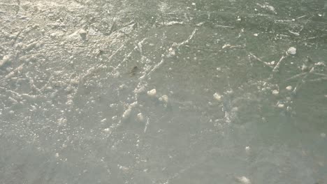 closeup view of frozen pond in the winter of amsterdam