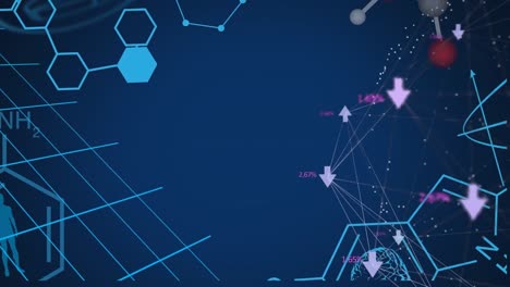 animación de la red de conexiones con iconos y procesamiento de datos
