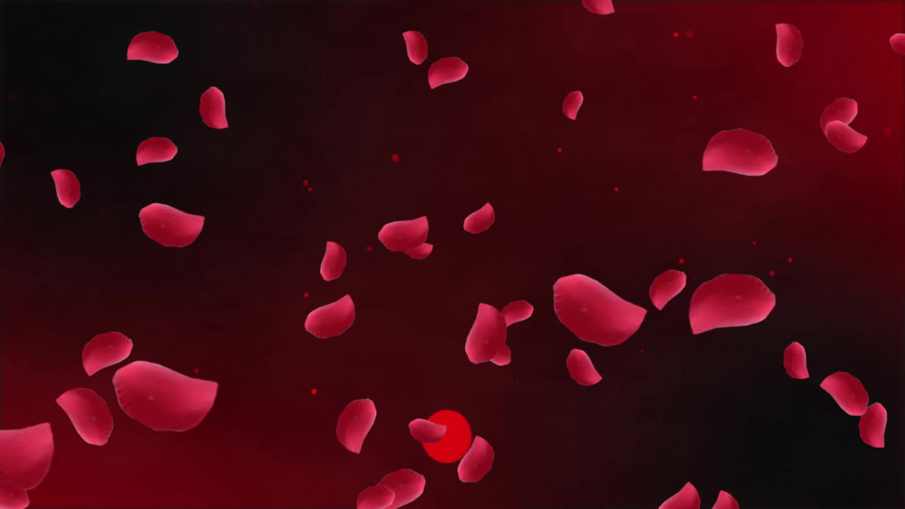 Animation of red petals flowing and moving over black background