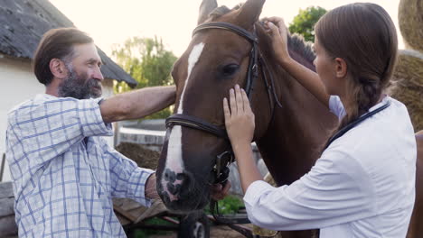 farmer petting beautiful horse outdoors