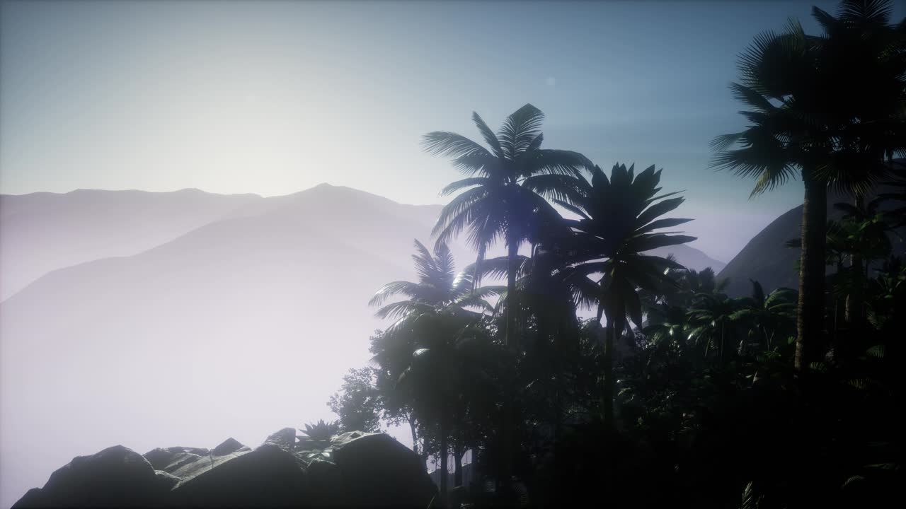 Sunset Beams through Palm Trees