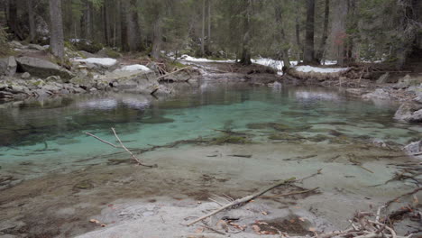 Wald-Mit-Schnee-Und-Bach-Mit-Kristallklarem-Wasser-Statischer-Clip-4K-Sony-A6300-25p-S-Log2