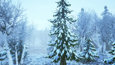 Wintersturm-In-Einem-Wald-Im-Winter