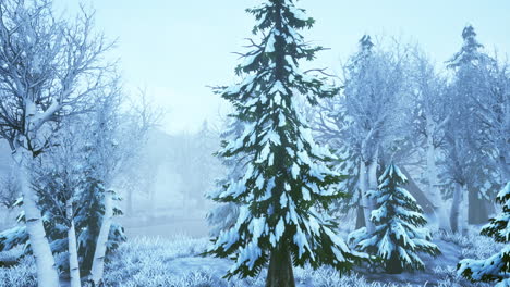 winter storm in a forest in winter