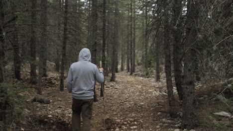 teenager exploring forest