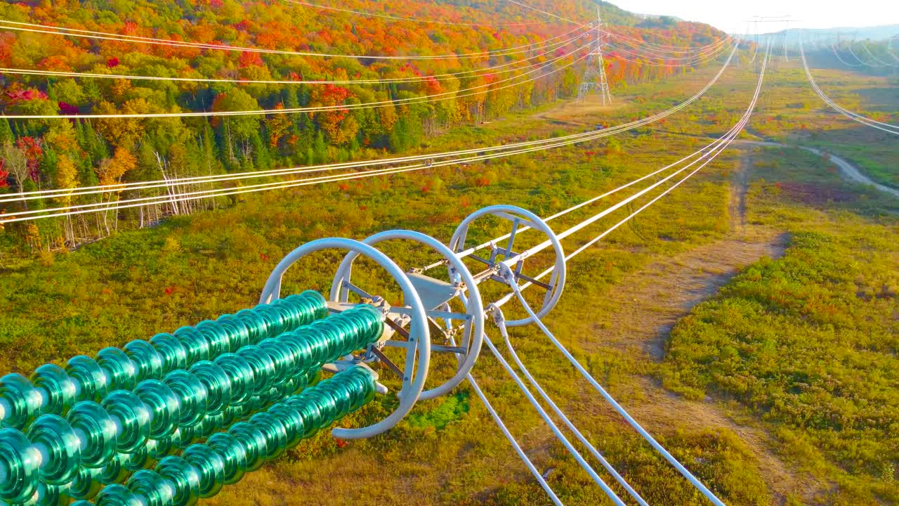 전력 케이블을 설치하기 위해 나무가 아져 나온 다채로운 가을 숲을 가로질러