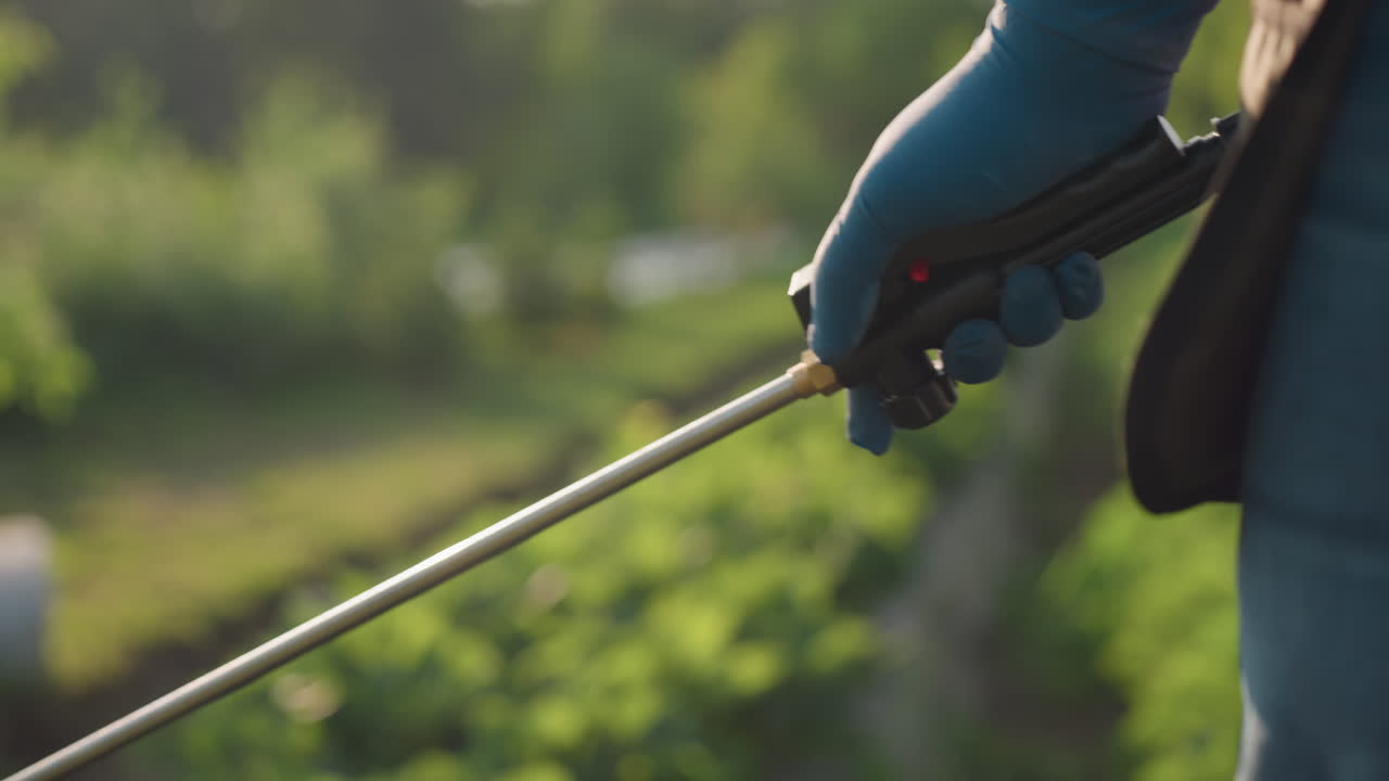 Close up farmer wearing glove holding sprayer wand over green crop beds, fine mist visible, sunlight filtering through trees, careful treatment of plants