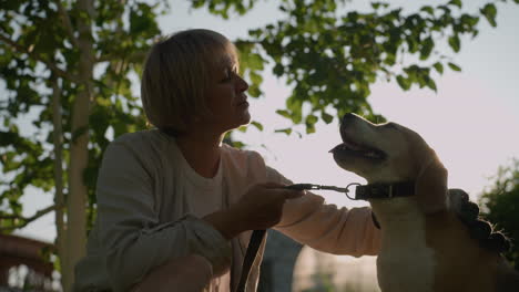 el dueño del perro en cuclillas en un campo de hierba frotando la cabeza del perro con un guante de aseo mientras sostiene la correa, sonriendo afectuosamente al perro bajo la luz del sol brillante, creando un efecto de silueta suave con luz cálida