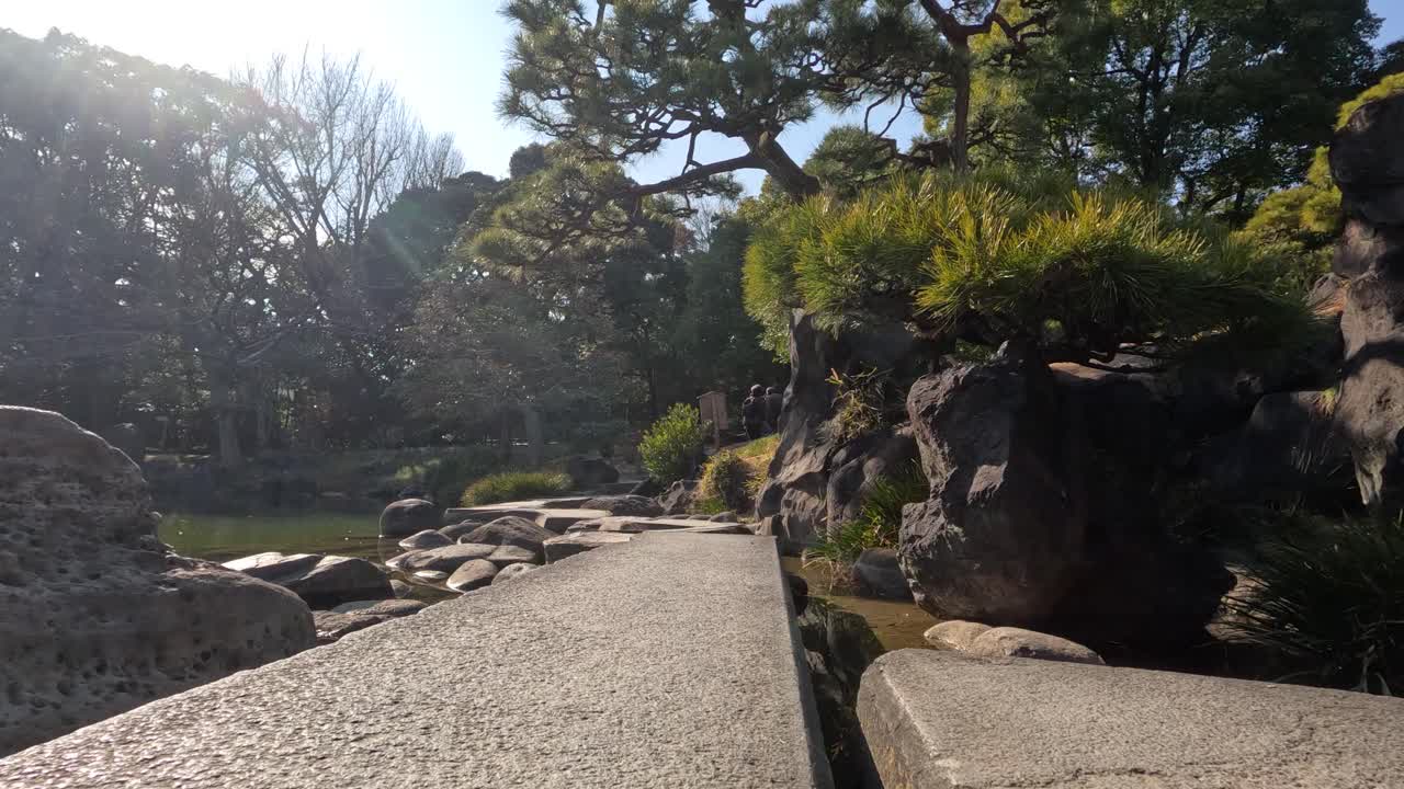 Peaceful walk across stepping stones in a serene garden