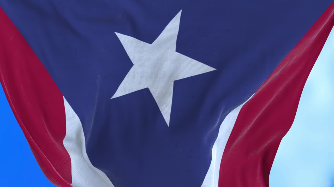 푸에르토리코 발의 원활한 루프