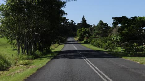 a peaceful drive along a rural road